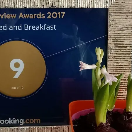 Relax Locazione Turistica فندق مبيت وإفطار Ceregnano